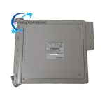 ICS Triplex T8461 Digital Output Module - Image 2