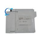 Yokogawa AAI141 - Image 2